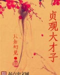 贞观大才子