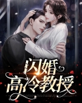 闪婚高冷教授