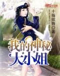 我的神秘大小姐