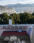 赵正品卧底记