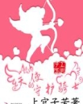 天使的守护骑士