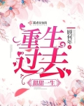 重生过去甜甜一生