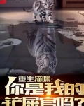 重生猫咪:你是我的铲屎官吗?