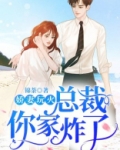 娇妻玩火:总裁你家炸了