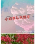 小知青从末世来