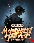青云官路：从小职员到封疆大吏