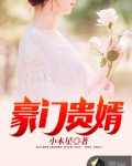 豪门贵婿