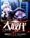二次元大取代