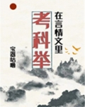 言情文里考科举