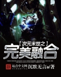 次元末世之完美融合