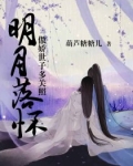 明月落怀：傲娇世子多关照