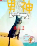 男神高小冷