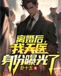 离婚后,我天医身份曝光了