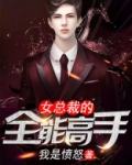 女总裁的全能高手