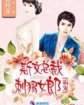 斯文总裁霸宠刺猬女郎