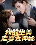 我的绝美老婆太神秘