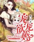 宠宠欲婚:hello,男神老公