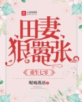 重生七零:田妻狠嚣张