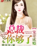 宠妻成瘾，总裁你够了