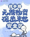 我手握无限物资砸出末世安全区