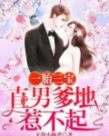 一胎三宝：直男爹地惹不起