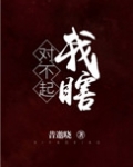对不起，我瞎