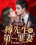 冷情虐爱:傅先生的第一罪妻
