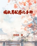 偏执男配感化手册