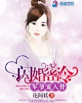 闪婚密令:军爷宠入骨