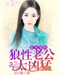 惹火契约：狼性老公太凶猛