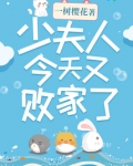 少夫人今天又败家了