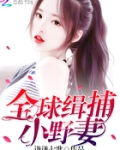 全球缉捕小野妻
