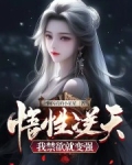 悟性逆天，我禁欲就变强