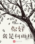 你好我是何雨柱
