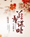 红楼之丫鬟谋略