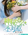 神秘老公不好惹