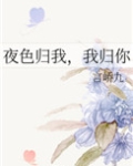 夜色归我，我归你