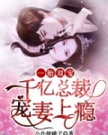 一胎双宝：千亿总裁宠妻上瘾