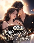 离婚后，我携亿万家产改嫁了新欢