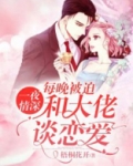 一夜情深：每天被迫和大佬谈恋爱