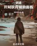 武道：开局获得辅助面板