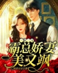一胎二宝：霸总娇妻美又飒