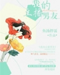 我的主播男友