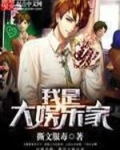 我是大娱乐家