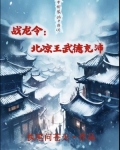 战龙令：北凉王武德充沛