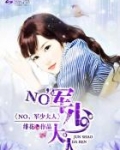 NO，军少大人