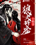 狼夫骄宠小萌妻