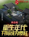 四合院:重生年代,开局成为傻柱