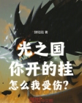 光之国：你开的挂！怎么我受伤？