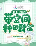 重生八零:带空间种田致富